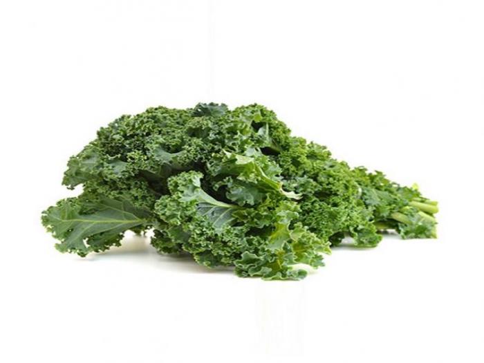 Kale Green Curly
