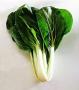 Bok Choy Large P/P 10ct