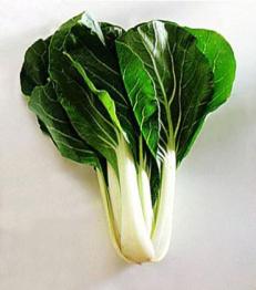 Bok Choy Large P/P 10ct Bok Choy Large P/P 10ct