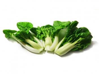 Baby Bok Choy Baby Bok Choy