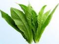 Mung Choy