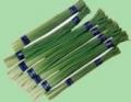 Garlic Sprouts