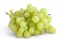 Green Grapes AU x20ct  