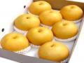 Nashi Pear