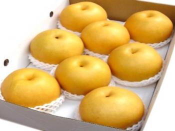 Nashi Pear
