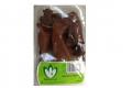 Wood Ear Mushroom