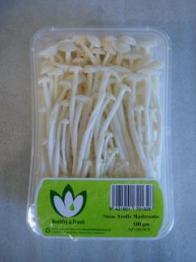 Mushrooms Snow Needle P/P 100g 8ct Mushrooms Snow Needle P/P 100g 8ct