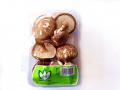 Shiitake Mushroom