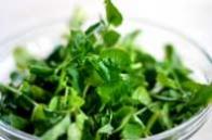 Watercress Salad with Lime Dressing Watercress Salad with Lime Dressing