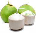 Fresh Drinking Coconut