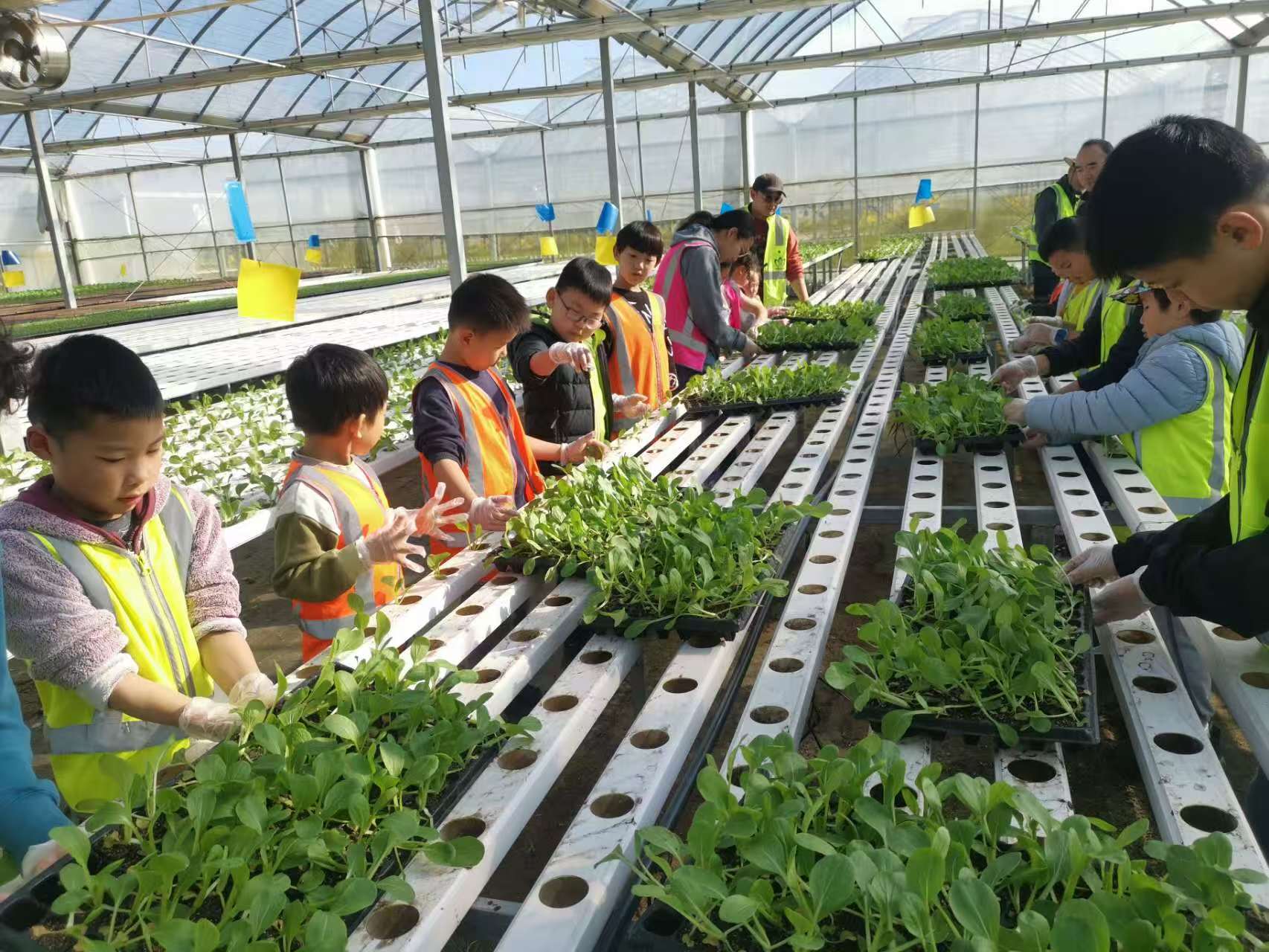 farm tour