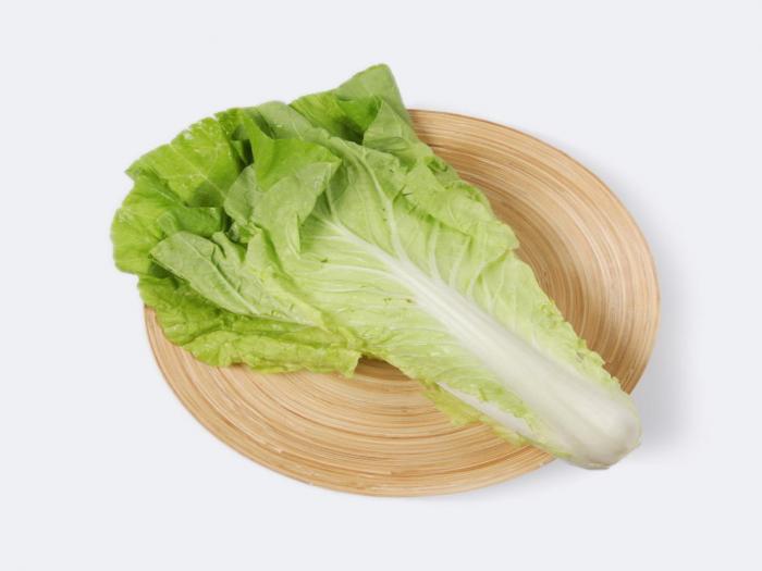 Taiwan Bok Choy