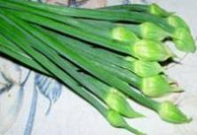 Flowering Chives