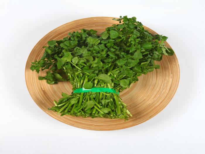 Watercress