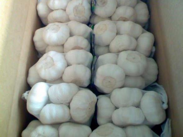 Garlic P/P 20ct CN
