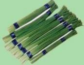 Garlic Sprouts
