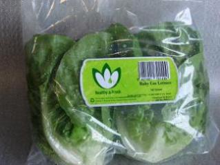 Baby Cos Lettuce