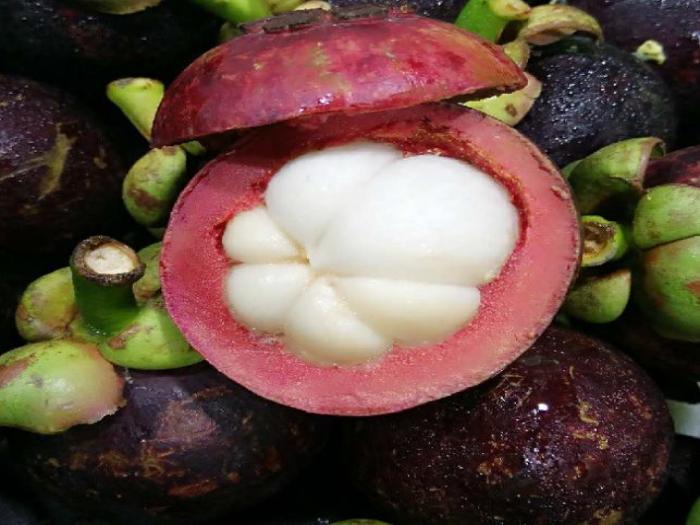 Mangosteen P/P 500g 6ct TH