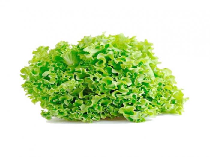 Lolla Biondi Lettuce