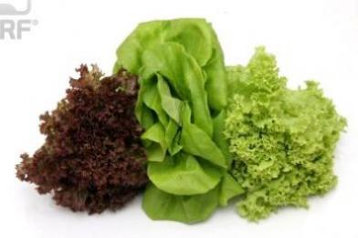 Lettuce Mixed Fancy P/P 12ct