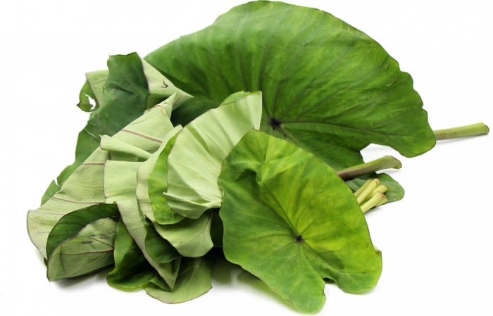 Taro Leaf