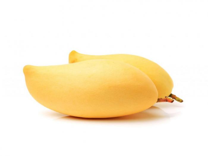 Mango 14ct TH