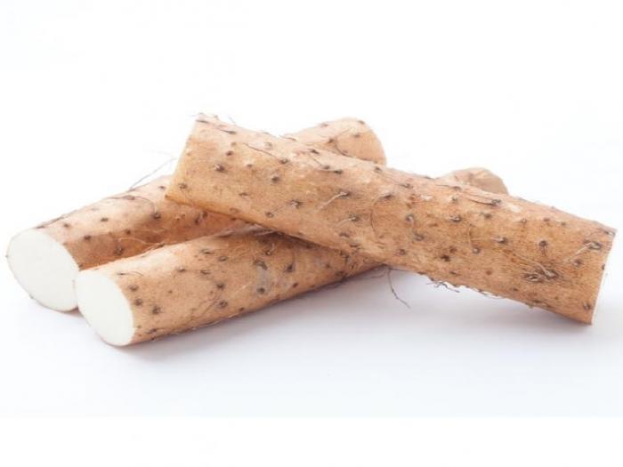 Chinese Yam