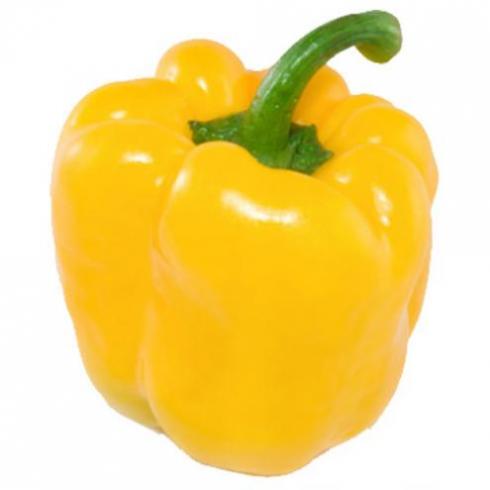 Capsicum Yellow AU