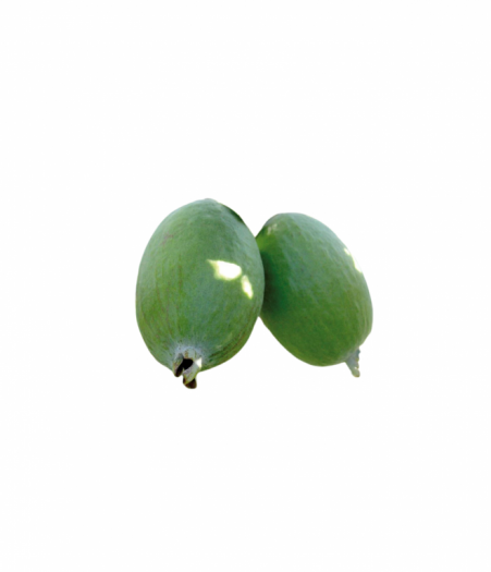 Feijoas Extra Large