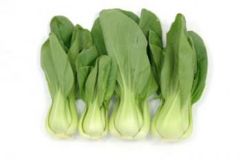 Shanghai Bok Choy Shanghai Bok Choy