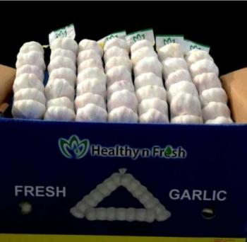 Garlic Fresh P/P 7 pcs 28ct Garlic Fresh P/P 7 pcs 28ct